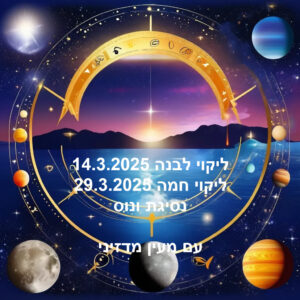 ליקויים מרץ 2025